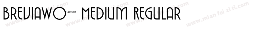 BreviaW02 Medium Regular字体转换